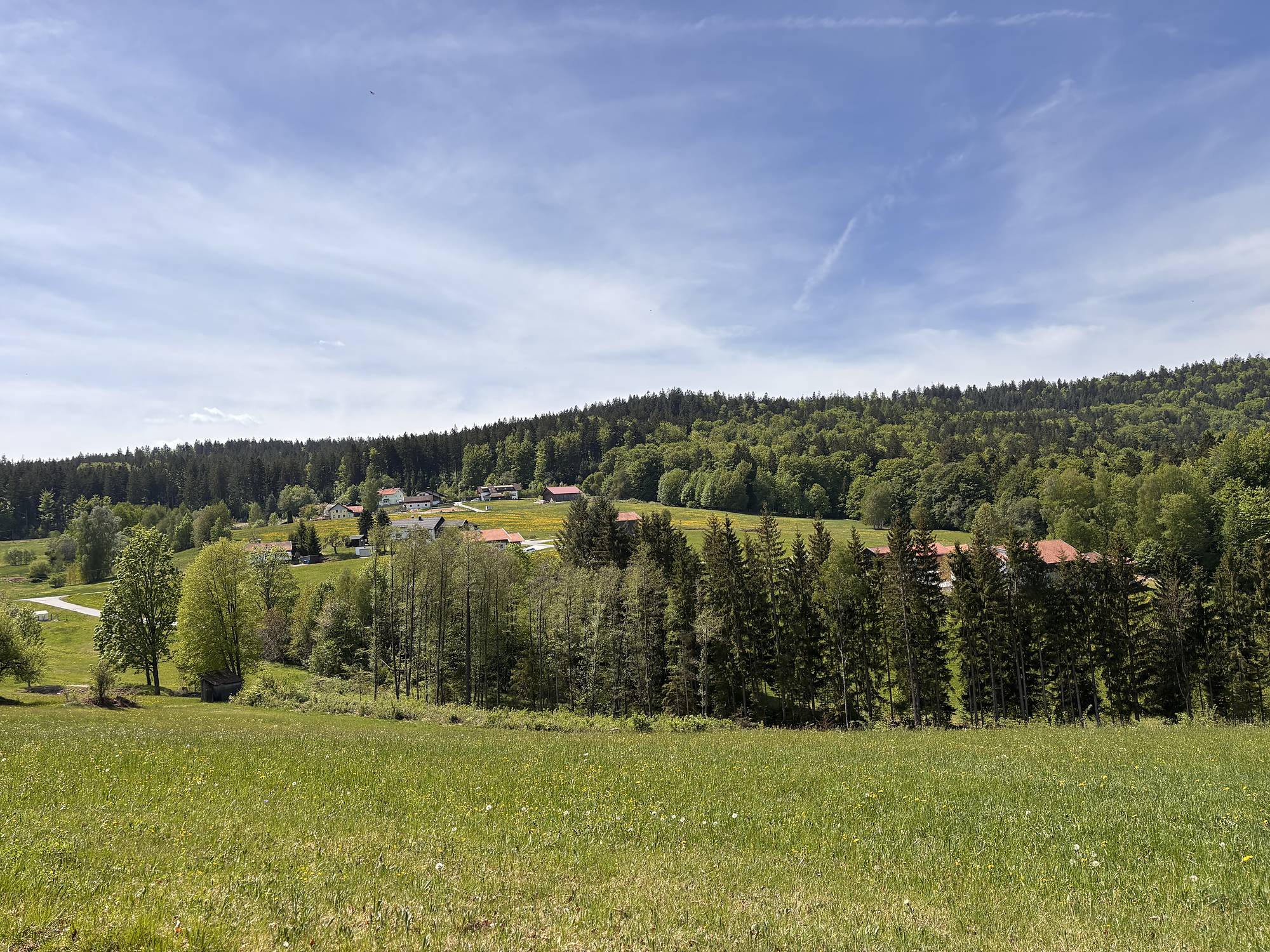 Lage und Umgebung des WoidSinn Chalets im Bayerischen Wald